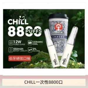 10種口味｜鴨嘴獸CHILL 8800口一次性電子菸 8ml大容量煙油