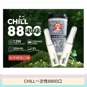 10種口味|鴨嘴獸CHILL 8800口一次性電子菸 8ml大容量煙油