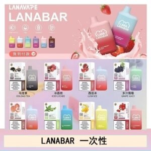 LANA BAR可充电一次性電子煙霧化5000口(3.0%)