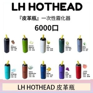 LH HOTHEAD皮革瓶電子煙可充電6000口一次性