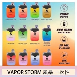 Vapor Storm風暴電子煙7500口(5%)一次性