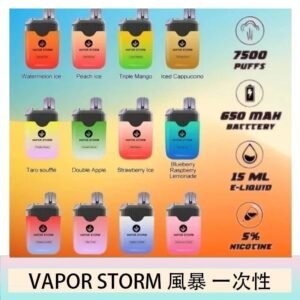 Vapor Storm風暴電子煙7500口（5%）一次性