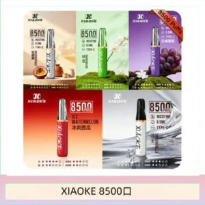 梟客XIAOKE一次性電子菸拋棄式8500口