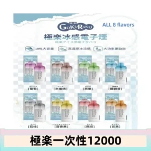 【8種口味】極楽 12000口一次性電子煙|超大容量 |口感絲滑|新品
