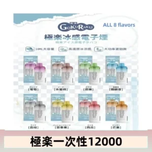 【8種口味】極楽 12000口一次性電子煙|超大容量 |口感絲滑|新品